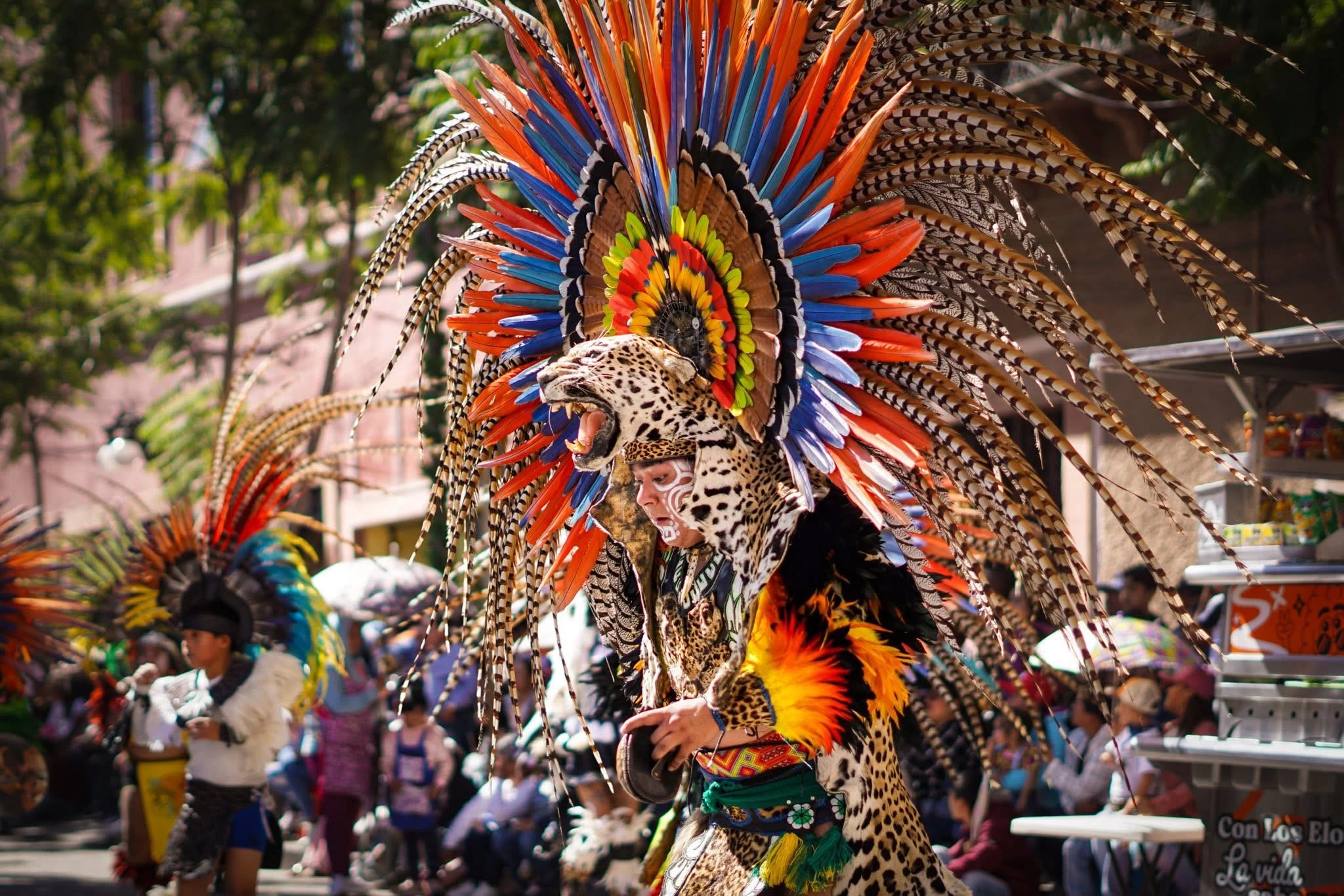 Misión de Chichimecas